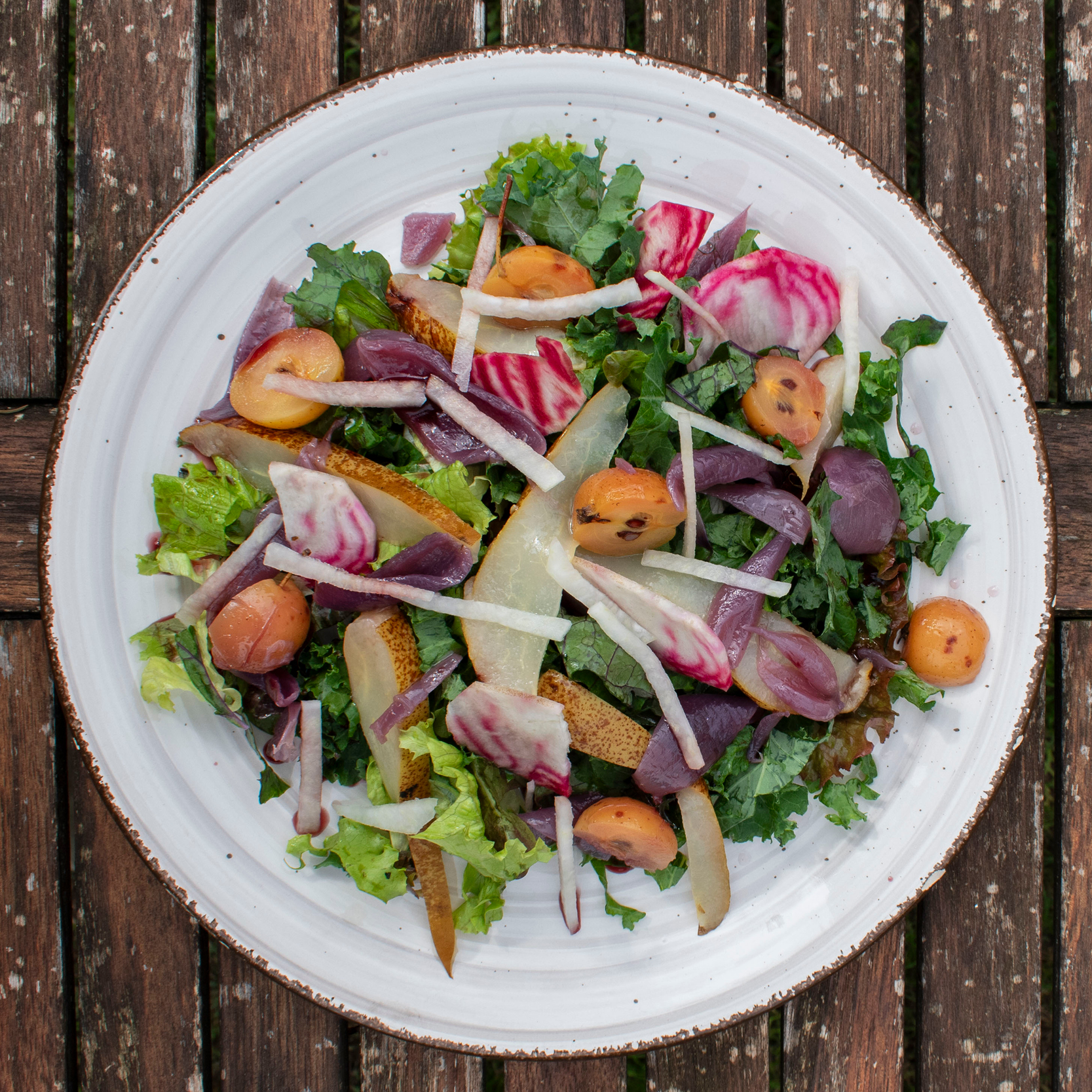 Insalate vegetariane in menu con ingredienti di stagione